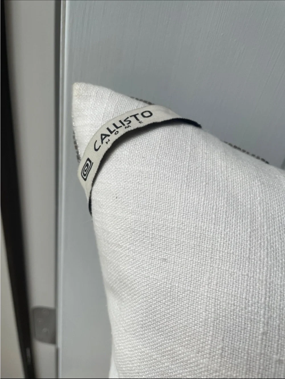 Callisto Cream and Gray Embroidered Accent Pillow